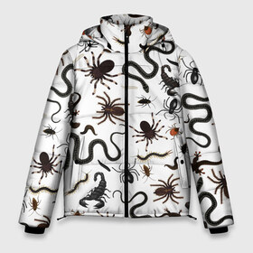 Мужская зимняя куртка 3D с принтом Жуткие насекомые в Екатеринбурге, верх — 100% полиэстер; подкладка — 100% полиэстер; утеплитель — 100% полиэстер | длина ниже бедра, свободный силуэт Оверсайз. Есть воротник-стойка, отстегивающийся капюшон и ветрозащитная планка. 

Боковые карманы с листочкой на кнопках и внутренний карман на молнии. | арт | белый | живность | животные | жук | жуткие насекомые | жуть | змея | клоп | набор насекомых | опарыш | паразит | паук | пиявка | рисунок | сколопендра | скорпион | таракан | фон | червь | ядовитый