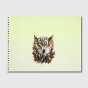 Альбом для рисования с принтом арт сова яркая в Екатеринбурге, 100% бумага
 | матовая бумага, плотность 200 мг. | акварель | вектор | внутренний дух | животное | зверь | крылья | образ | полет | природа | птица | рисунок | свобода | силуэт | сова | темный | филин | яркая
