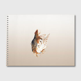 Альбом для рисования с принтом летящая сова рисунок в Екатеринбурге, 100% бумага
 | матовая бумага, плотность 200 мг. | акварель | акварельный | арт | брызги | градиент | животные | звери | краска | крылья | момент | полет | потеки | рисунок | скетч | сова | филин