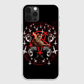 Чехол для iPhone 12 Pro Max с принтом Satanic Cat в Екатеринбурге, Силикон |  | satan | киска | кот | кот мем | кошечка | кошка | кошки и коты | лиса | лисы | мем | мемы | с кошкой | сатана