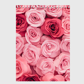 Скетчбук с принтом Розовые Розы в Екатеринбурге, 100% бумага
 | 48 листов, плотность листов — 100 г/м2, плотность картонной обложки — 250 г/м2. Листы скреплены сверху удобной пружинной спиралью | pink | rose | день святого валентина | красивый | любовь | прекрасный | роза | цветок | цветы