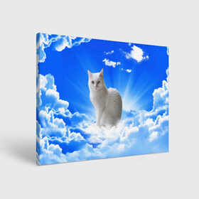 Холст прямоугольный с принтом Кот в облаках в Екатеринбурге, 100% ПВХ |  | animals | cat | kitty | ангел | белый кот | блики | взгляд кота | глаза кота | животные | киска | кот | котейка | котенок | котик | кошак | кошка | лучи | мордочка | небесный | небо | облака | пейзаж | питомец