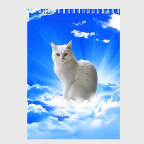 Скетчбук с принтом Кот в облаках в Екатеринбурге, 100% бумага
 | 48 листов, плотность листов — 100 г/м2, плотность картонной обложки — 250 г/м2. Листы скреплены сверху удобной пружинной спиралью | animals | cat | kitty | ангел | белый кот | блики | взгляд кота | глаза кота | животные | киска | кот | котейка | котенок | котик | кошак | кошка | лучи | мордочка | небесный | небо | облака | пейзаж | питомец