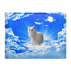 Обложка для студенческого билета с принтом Кот в облаках в Екатеринбурге, натуральная кожа | Размер: 11*8 см; Печать на всей внешней стороне | Тематика изображения на принте: animals | cat | kitty | ангел | белый кот | блики | взгляд кота | глаза кота | животные | киска | кот | котейка | котенок | котик | кошак | кошка | лучи | мордочка | небесный | небо | облака | пейзаж | питомец