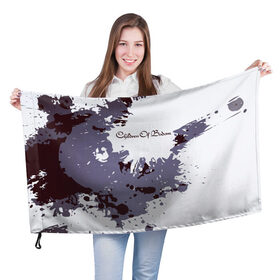 Флаг 3D с принтом Children of Bodom в Екатеринбурге, 100% полиэстер | плотность ткани — 95 г/м2, размер — 67 х 109 см. Принт наносится с одной стороны | children of bodom | группа | дети озера бодом | дэт метал | мелодик дэт метал | пауэр метал | трэш метал