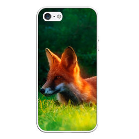 Чехол для iPhone 5/5S матовый с принтом Рыжая лиса в Екатеринбурге, Силикон | Область печати: задняя сторона чехла, без боковых панелей | fox | foxy | животное | звери | лиса | лисенок | лисичка | милая | рыжая | фокс