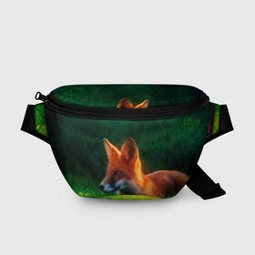 Поясная сумка 3D с принтом Рыжая лиса в Екатеринбурге, 100% полиэстер | плотная ткань, ремень с регулируемой длиной, внутри несколько карманов для мелочей, основное отделение и карман с обратной стороны сумки застегиваются на молнию | fox | foxy | животное | звери | лиса | лисенок | лисичка | милая | рыжая | фокс