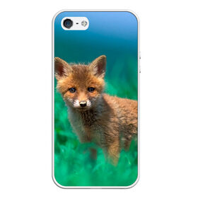 Чехол для iPhone 5/5S матовый с принтом маленький лисенок в Екатеринбурге, Силикон | Область печати: задняя сторона чехла, без боковых панелей | fox | foxy | животное | звери | лиса | лисенок | лисичка | милая | рыжая | фокс