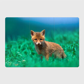 Магнитный плакат 3Х2 с принтом маленький лисенок в Екатеринбурге, Полимерный материал с магнитным слоем | 6 деталей размером 9*9 см | fox | foxy | животное | звери | лиса | лисенок | лисичка | милая | рыжая | фокс