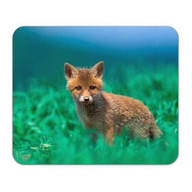 Коврик для мышки прямоугольный с принтом маленький лисенок в Екатеринбурге, натуральный каучук | размер 230 х 185 мм; запечатка лицевой стороны | fox | foxy | животное | звери | лиса | лисенок | лисичка | милая | рыжая | фокс