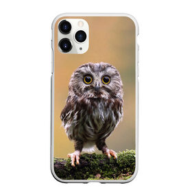 Чехол для iPhone 11 Pro Max матовый с принтом СОВЕНОК в Екатеринбурге, Силикон |  | animal | bird | животные | звери | лес | малыш | природа | птенец | птицы | сова | совенок