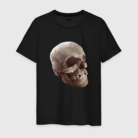 Мужская футболка хлопок с принтом Череп в Екатеринбурге, 100% хлопок | прямой крой, круглый вырез горловины, длина до линии бедер, слегка спущенное плечо. | взгляд | голова | скелет | страшно | череп