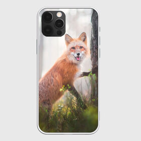 Чехол для iPhone 12 Pro Max с принтом Лисица в Екатеринбурге, Силикон |  | fox | foxy | животное | звери | лиса | лисенок | лисичка | милая | рыжая | фокс
