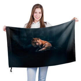 Флаг 3D с принтом Мудрый лис в Екатеринбурге, 100% полиэстер | плотность ткани — 95 г/м2, размер — 67 х 109 см. Принт наносится с одной стороны | fox | foxy | животное | звери | лиса | лисенок | лисичка | милая | рыжая | фокс