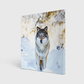 Холст квадратный с принтом Я зимой в Екатеринбурге, 100% ПВХ |  | animals | wolf | волк | волки | животные | звери | зверь | луна | одиночество | одиночка | пёс | собака