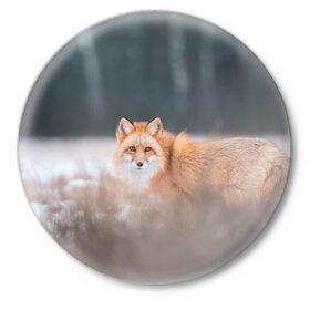 Значок с принтом Лиса в Екатеринбурге,  металл | круглая форма, металлическая застежка в виде булавки | Тематика изображения на принте: fox | foxy | животное | звери | лиса | лисенок | лисичка | милая | рыжая | фокс
