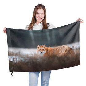 Флаг 3D с принтом Лиса в Екатеринбурге, 100% полиэстер | плотность ткани — 95 г/м2, размер — 67 х 109 см. Принт наносится с одной стороны | fox | foxy | животное | звери | лиса | лисенок | лисичка | милая | рыжая | фокс