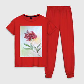 Женская пижама хлопок с принтом Пион в Екатеринбурге, 100% хлопок | брюки и футболка прямого кроя, без карманов, на брюках мягкая резинка на поясе и по низу штанин | tgcarpg | акварель | живопись | искусство | красный | пион | цветок