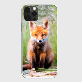 Чехол для iPhone 12 Pro Max с принтом Лисичка в Екатеринбурге, Силикон |  | fox | foxy | животное | звери | лиса | лисенок | лисичка | милая | рыжая | фокс