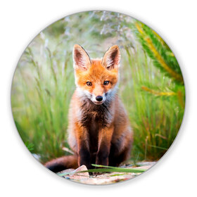 Коврик для мышки круглый с принтом Лисичка в Екатеринбурге, резина и полиэстер | круглая форма, изображение наносится на всю лицевую часть | fox | foxy | животное | звери | лиса | лисенок | лисичка | милая | рыжая | фокс