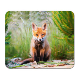 Коврик для мышки прямоугольный с принтом Лисичка в Екатеринбурге, натуральный каучук | размер 230 х 185 мм; запечатка лицевой стороны | fox | foxy | животное | звери | лиса | лисенок | лисичка | милая | рыжая | фокс