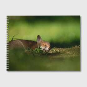 Альбом для рисования с принтом Сонный лисенок в Екатеринбурге, 100% бумага
 | матовая бумага, плотность 200 мг. | fox | foxy | животное | звери | лиса | лисенок | лисичка | милая | рыжая | фокс
