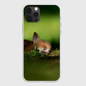 Чехол для iPhone 12 Pro Max с принтом Сонный лисенок в Екатеринбурге, Силикон |  | fox | foxy | животное | звери | лиса | лисенок | лисичка | милая | рыжая | фокс