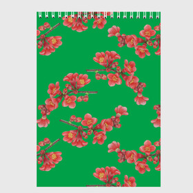 Скетчбук с принтом Цветы айвы на зеленом фоне в Екатеринбурге, 100% бумага
 | 48 листов, плотность листов — 100 г/м2, плотность картонной обложки — 250 г/м2. Листы скреплены сверху удобной пружинной спиралью | 8 марта | flowers | summer | айва | ботаническая иллюстрация | весна | ветки | зеленый | коричневый | красный | лето | любовь | праздник | принт | природа | растения | цветы