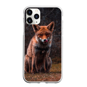 Чехол для iPhone 11 Pro матовый с принтом Хищная лисица в Екатеринбурге, Силикон |  | fox | foxy | животное | звери | лиса | лисенок | лисичка | милая | рыжая | фокс