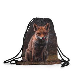 Рюкзак-мешок 3D с принтом Хищная лисица в Екатеринбурге, 100% полиэстер | плотность ткани — 200 г/м2, размер — 35 х 45 см; лямки — толстые шнурки, застежка на шнуровке, без карманов и подкладки | fox | foxy | животное | звери | лиса | лисенок | лисичка | милая | рыжая | фокс