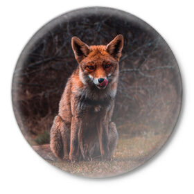 Значок с принтом Хищная лисица в Екатеринбурге,  металл | круглая форма, металлическая застежка в виде булавки | fox | foxy | животное | звери | лиса | лисенок | лисичка | милая | рыжая | фокс