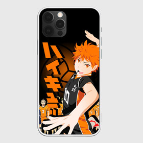 Чехол для iPhone 12 Pro Max с принтом ВОЛЕЙБОЛ!! / HAIKYUU!! в Екатеринбурге, Силикон |  | anime | haikyu | haikyuu | karasuno | аниме | волейбол | ворон | карасуно | манга | мяч | сёё хината