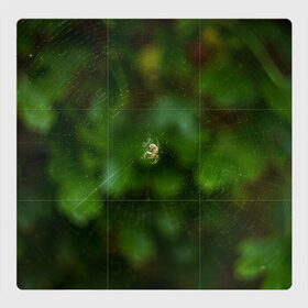 Магнитный плакат 3Х3 с принтом Паучок в Екатеринбурге, Полимерный материал с магнитным слоем | 9 деталей размером 9*9 см | spider | web | зелень | лес | макро | паук | паутина | природа