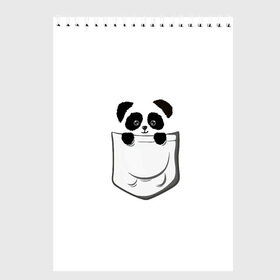 Скетчбук с принтом Панда В Кармане в Екатеринбурге, 100% бумага
 | 48 листов, плотность листов — 100 г/м2, плотность картонной обложки — 250 г/м2. Листы скреплены сверху удобной пружинной спиралью | animals | beats | head | panda | pocket | в кармане | голова | животные | звери | лапки | любовь | панда
