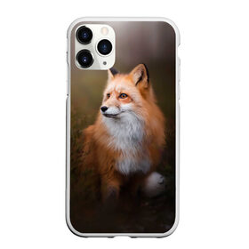 Чехол для iPhone 11 Pro Max матовый с принтом Лиса-охотница в Екатеринбурге, Силикон |  | Тематика изображения на принте: fox | foxy | животное | звери | лиса | лисенок | лисичка | милая | рыжая | фокс