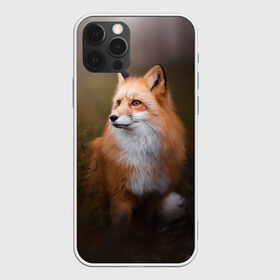 Чехол для iPhone 12 Pro Max с принтом Лиса-охотница в Екатеринбурге, Силикон |  | Тематика изображения на принте: fox | foxy | животное | звери | лиса | лисенок | лисичка | милая | рыжая | фокс