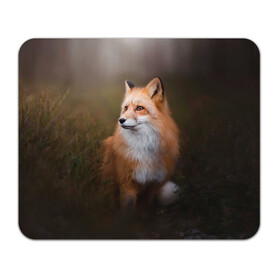 Коврик для мышки прямоугольный с принтом Лиса-охотница в Екатеринбурге, натуральный каучук | размер 230 х 185 мм; запечатка лицевой стороны | fox | foxy | животное | звери | лиса | лисенок | лисичка | милая | рыжая | фокс