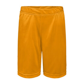 Детские спортивные шорты 3D с принтом Цвет Шафран (без рисунка) в Екатеринбурге,  100% полиэстер
 | пояс оформлен широкой мягкой резинкой, ткань тянется
 | Тематика изображения на принте: без рисунка | горчичный | желто оранжевый тон | желтый | модные цвета 2020 | оранжевый | рыжий | сочный цвет | цвет 2020 | шафран | яркие цвета