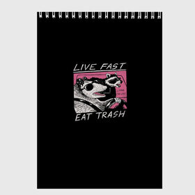 Скетчбук с принтом Live fast Eat trash в Екатеринбурге, 100% бумага
 | 48 листов, плотность листов — 100 г/м2, плотность картонной обложки — 250 г/м2. Листы скреплены сверху удобной пружинной спиралью | Тематика изображения на принте: eat | fast | live | snap | snap collection | trash | быстро | еда | енот | жизнь | мода | мусор | опоссум | очки