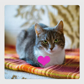 Магнитный плакат 3Х3 с принтом действительно любит меня в Екатеринбурге, Полимерный материал с магнитным слоем | 9 деталей размером 9*9 см | взгляд | кот | кошатникам | любит меня | люблю его | люблю котов | одиночкам | плед | романтика | сердечко | сердце | уют