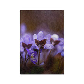 Обложка для паспорта матовая кожа с принтом хрупкий цветок фиалка в Екатеринбурге, натуральная матовая кожа | размер 19,3 х 13,7 см; прозрачные пластиковые крепления | Тематика изображения на принте: flowers | весна | лиловый | макро | нежный | природа | рост | свежесть | сиреневый | фиолетовый | хрупкий | цветик | цветок | цветочек | цветы