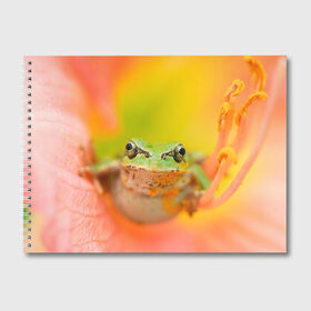 Альбом для рисования с принтом лягушка в цветке мило в Екатеринбурге, 100% бумага
 | матовая бумага, плотность 200 мг. | жаба | жабка | земноводное | ква | квакуха | лягушенок | лягушка | макро | мило | природа | пыльца | цветок
