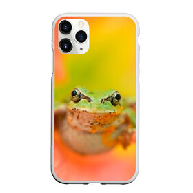 Чехол для iPhone 11 Pro матовый с принтом лягушка в цветке мило в Екатеринбурге, Силикон |  | жаба | жабка | земноводное | ква | квакуха | лягушенок | лягушка | макро | мило | природа | пыльца | цветок