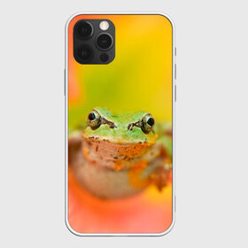 Чехол для iPhone 12 Pro Max с принтом лягушка в цветке мило в Екатеринбурге, Силикон |  | жаба | жабка | земноводное | ква | квакуха | лягушенок | лягушка | макро | мило | природа | пыльца | цветок