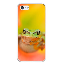 Чехол для iPhone 5/5S матовый с принтом лягушка в цветке мило в Екатеринбурге, Силикон | Область печати: задняя сторона чехла, без боковых панелей | жаба | жабка | земноводное | ква | квакуха | лягушенок | лягушка | макро | мило | природа | пыльца | цветок