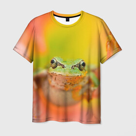 Мужская футболка 3D с принтом лягушка в цветке мило в Екатеринбурге, 100% полиэфир | прямой крой, круглый вырез горловины, длина до линии бедер | жаба | жабка | земноводное | ква | квакуха | лягушенок | лягушка | макро | мило | природа | пыльца | цветок
