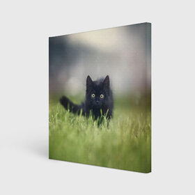 Холст квадратный с принтом черный кот на лугу в Екатеринбурге, 100% ПВХ |  | взгляд | внутренний | глаза | животные | звери | зверь | кот | котейка | котик | коты | котэ | кошки | лапы | нос | образ | прыжок | смотрит в душу | усы | уши | черный | черныш | шерсть