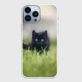 Чехол для iPhone 13 Pro Max с принтом черный кот на лугу в Екатеринбурге,  |  | взгляд | внутренний | глаза | животные | звери | зверь | кот | котейка | котик | коты | котэ | кошки | лапы | нос | образ | прыжок | смотрит в душу | усы | уши | черный | черныш | шерсть
