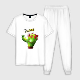 Мужская пижама хлопок с принтом кактус в Екатеринбурге, 100% хлопок | брюки и футболка прямого кроя, без карманов, на брюках мягкая резинка на поясе и по низу штанин
 | what | горшок | кактусик | цветы | чего | чее