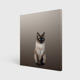 Холст квадратный с принтом Сиамский кот голубые глаза в Екатеринбурге, 100% ПВХ |  | арт | бежевый | градиент | киса | коричневый | кот | котейка | котенок | котик | котэ | кошка | реализм | сиамец | сиамский